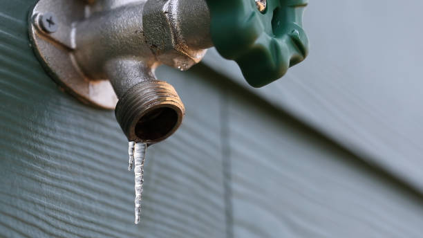 Best Local Plumber Services  in Lovell, WY